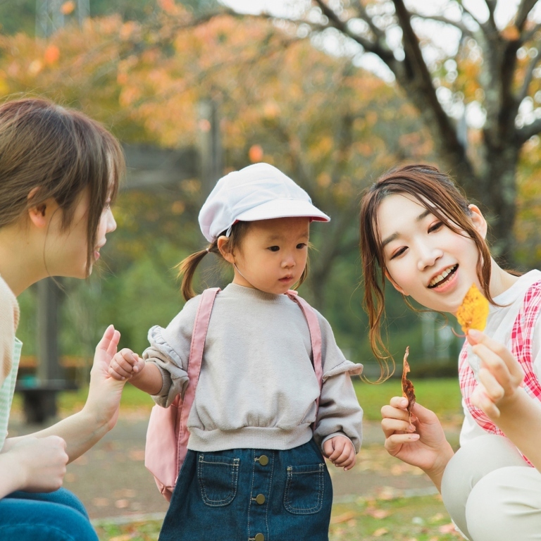 主な業務内容